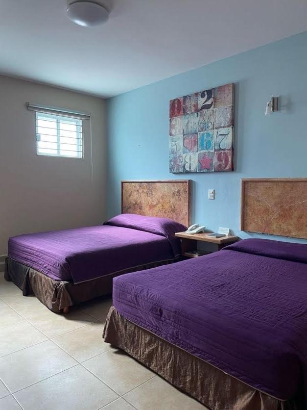 Hotel Santo Domingo Express 比亚埃尔莫萨 外观 照片