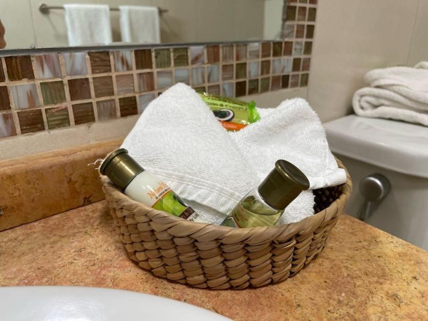 Hotel Santo Domingo Express 比亚埃尔莫萨 外观 照片
