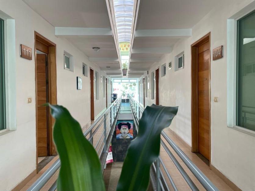 Hotel Santo Domingo Express 比亚埃尔莫萨 外观 照片