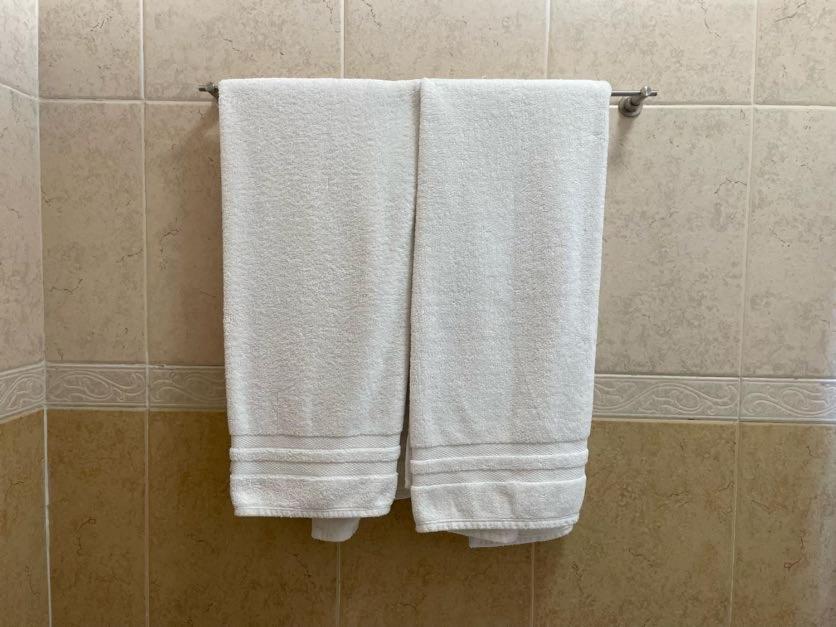 Hotel Santo Domingo Express 比亚埃尔莫萨 外观 照片