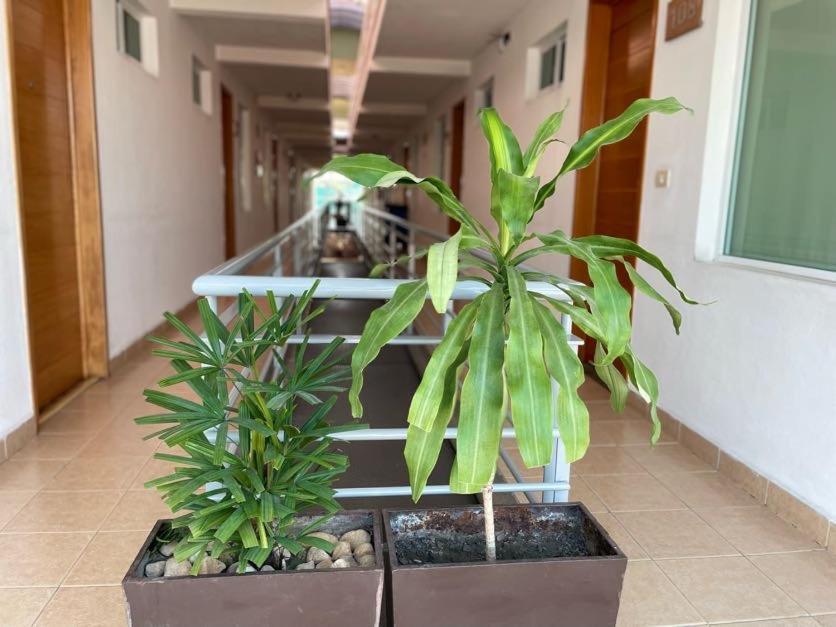 Hotel Santo Domingo Express 比亚埃尔莫萨 外观 照片