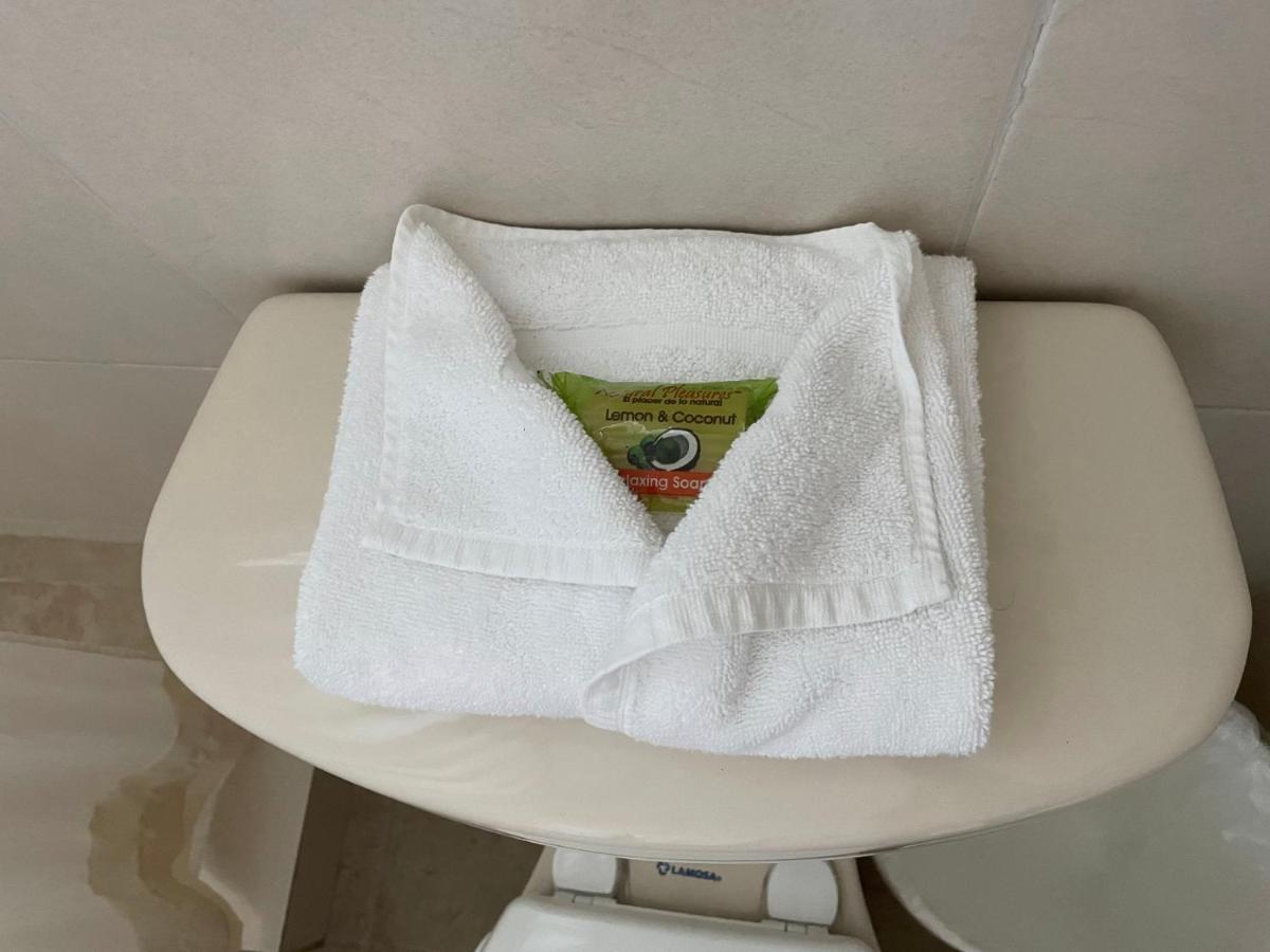 Hotel Santo Domingo Express 比亚埃尔莫萨 外观 照片
